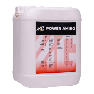 MG POWER AMİNO 5L