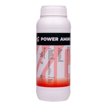 MG POWER AMİNO 1L